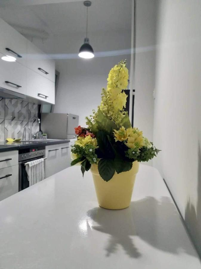 A Convenient Apartment In The Heart Of Athen Eksteriør bilde